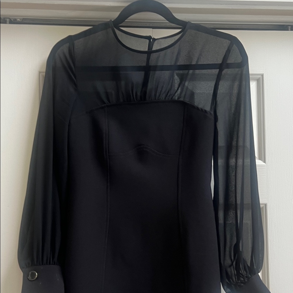 Anthropologie Elegant Black Sheer Neckline/ Sleeve Dress NWT